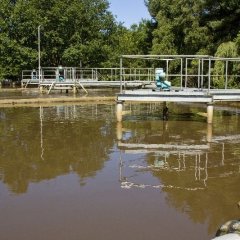 Becken ohne Sauerstoffzufuhr